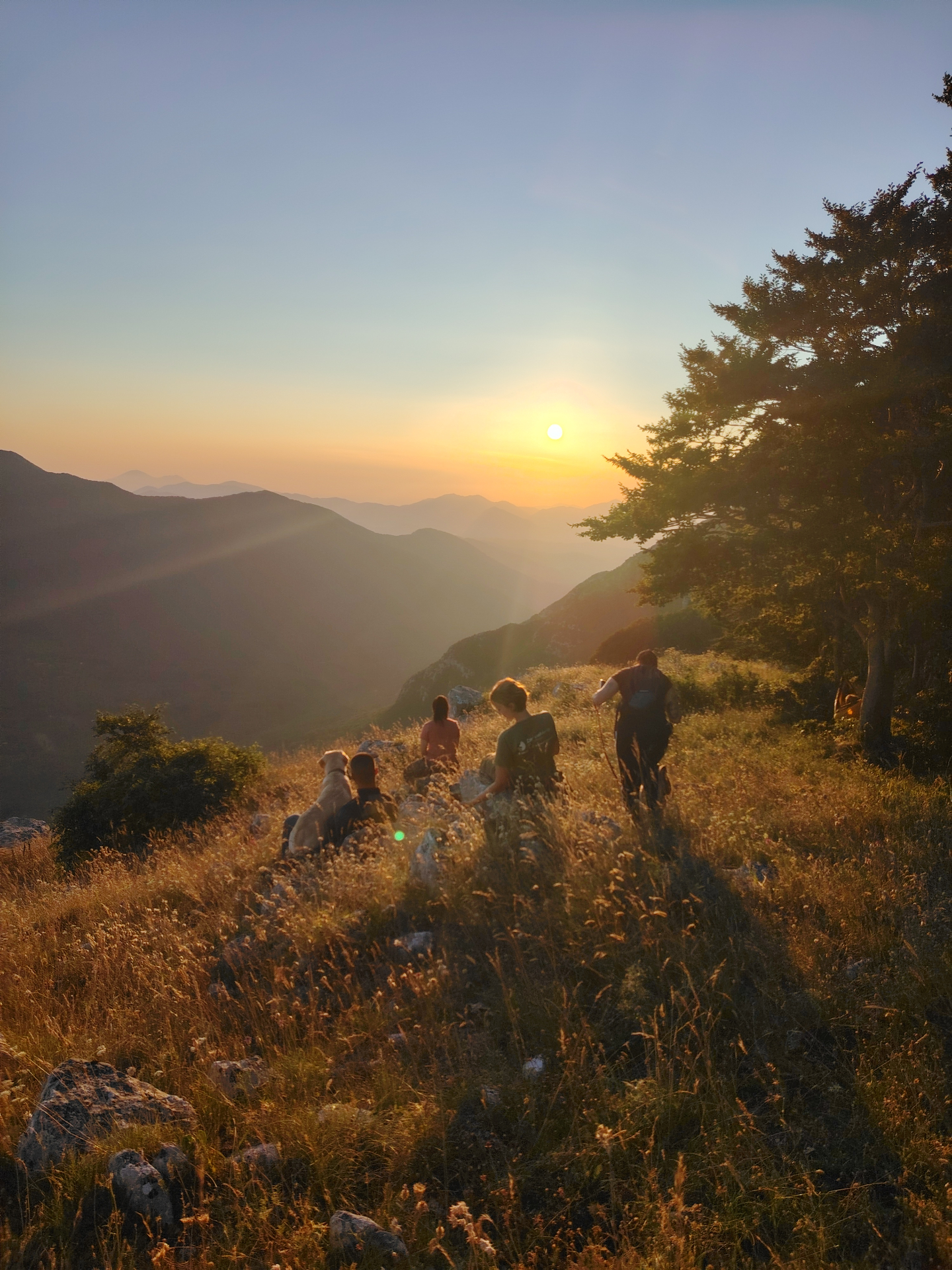 Trekking a 6 Zampe — foto 7