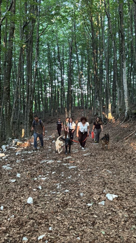 Trekking a 6 Zampe — foto 4