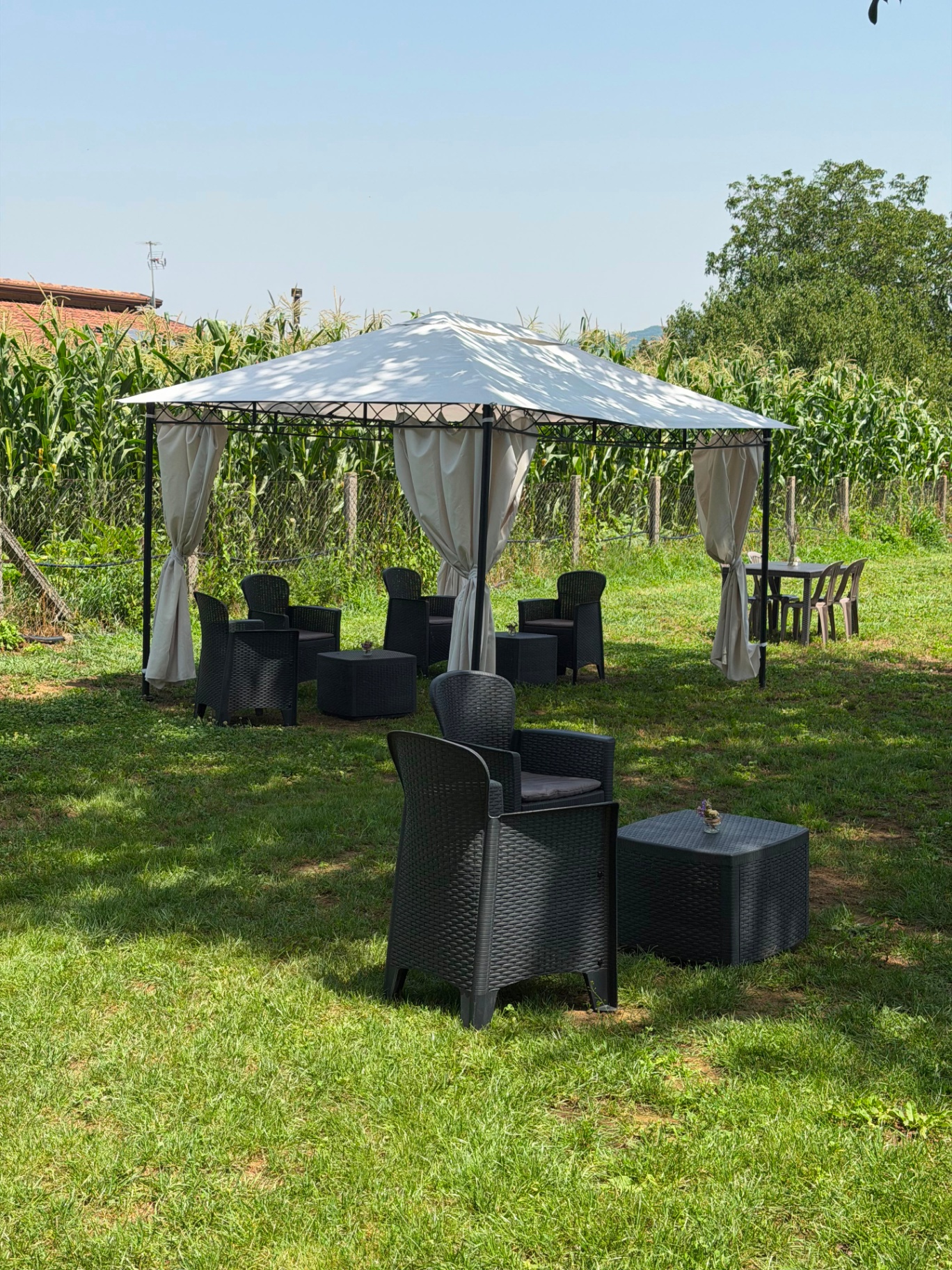 Relax a 6 Zampe — foto 7