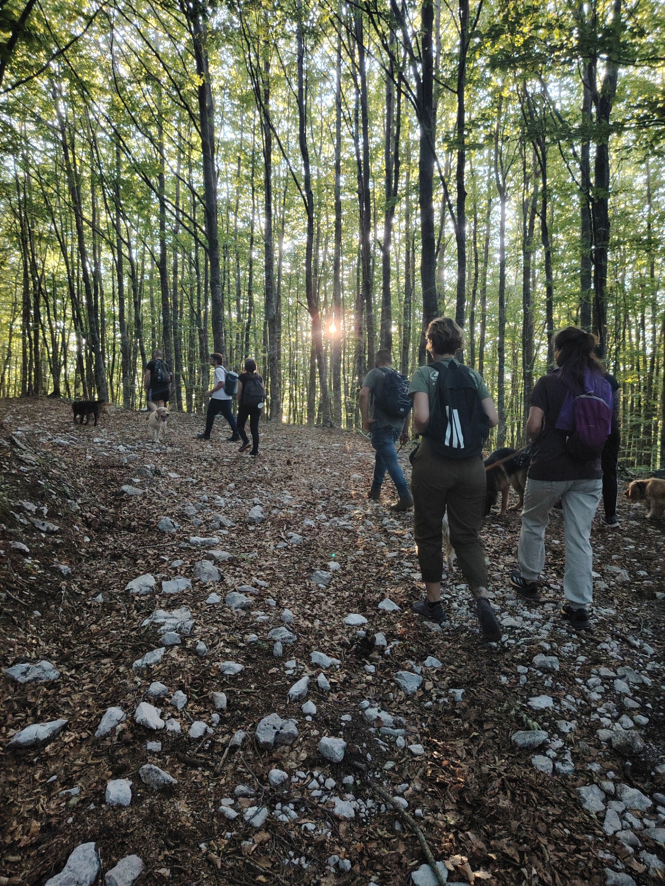 Trekking a 6 Zampe — foto 5