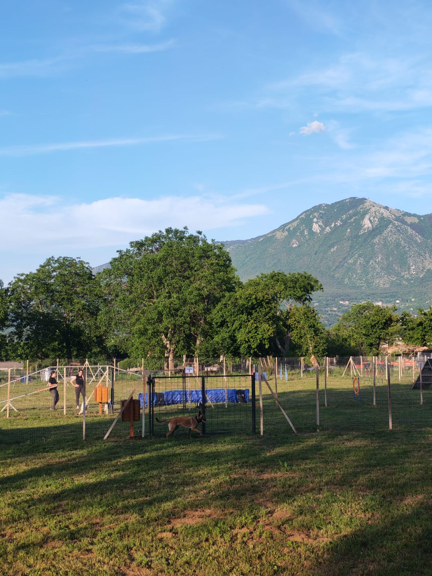Area Sgambamento — foto 2