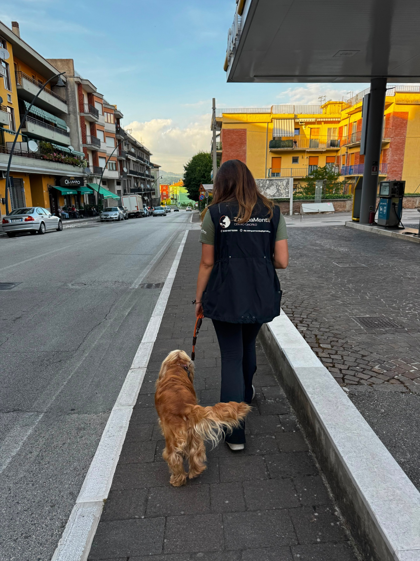 Educazione Cinofila — foto 1