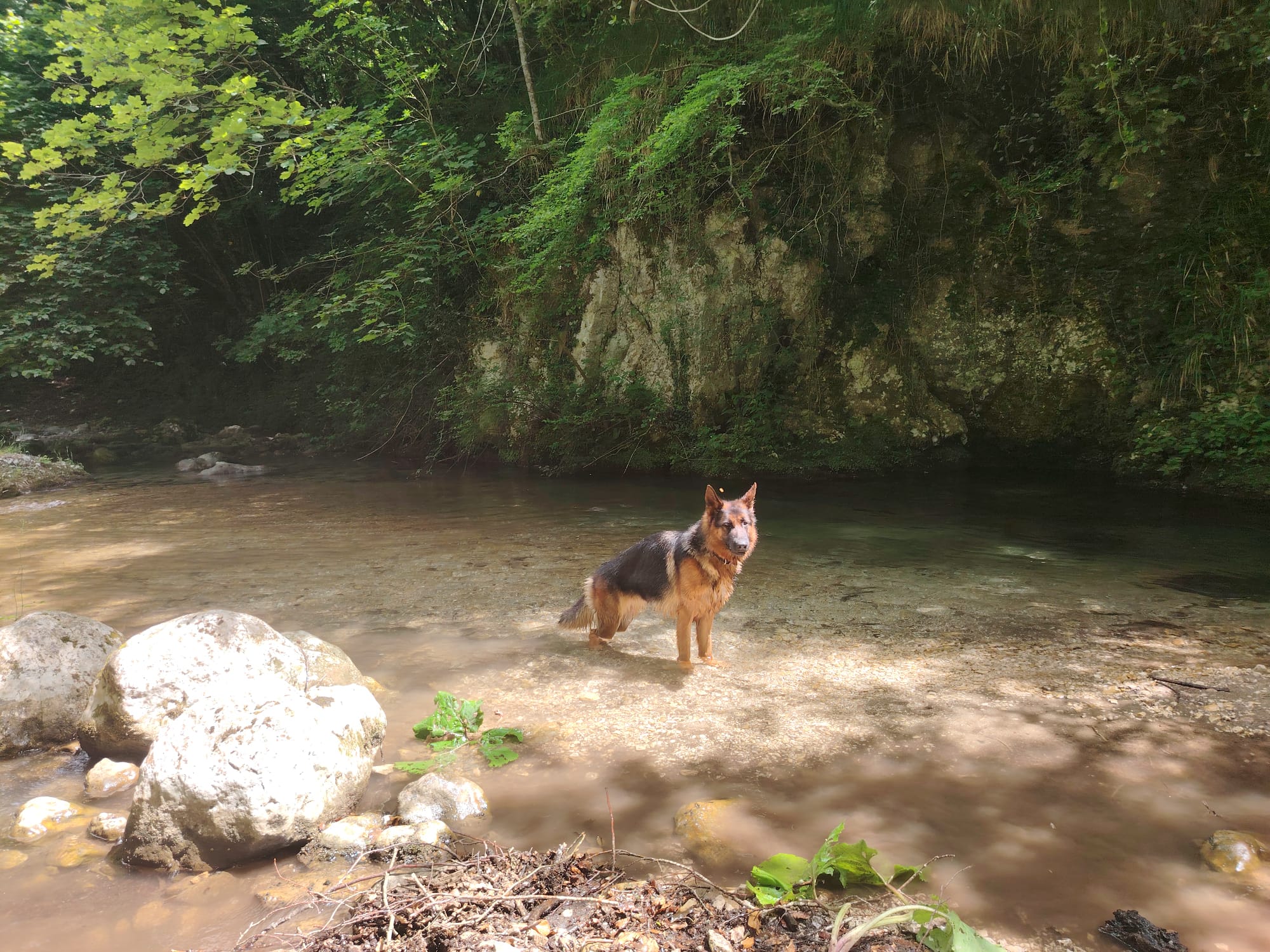 Trekking a 6 Zampe