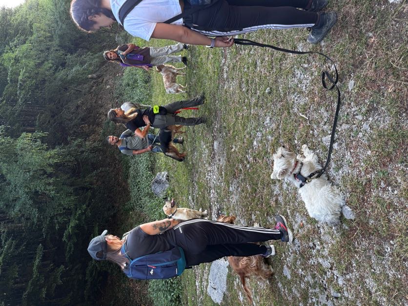 Trekking a 6 Zampe — foto 3