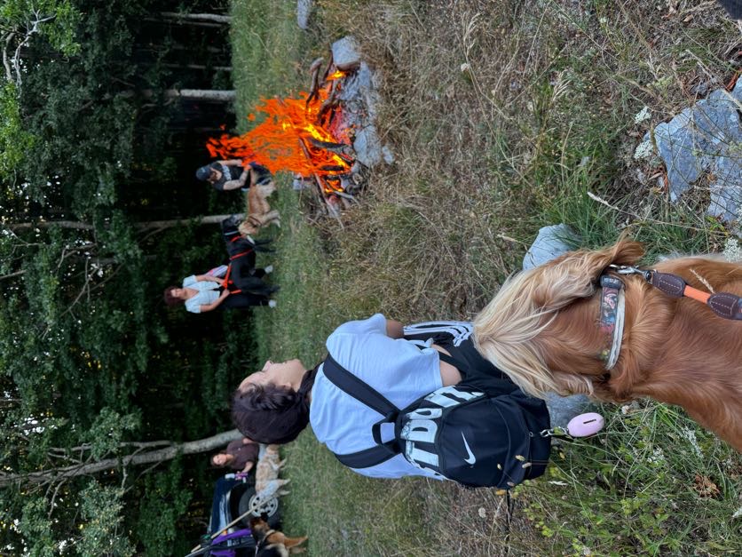Trekking a 6 Zampe — foto 10